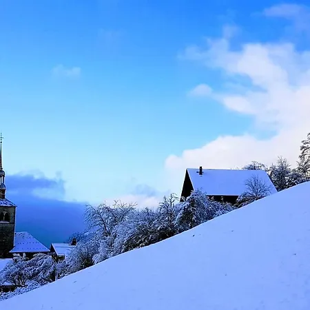 Chalet La Source Guest house 3*